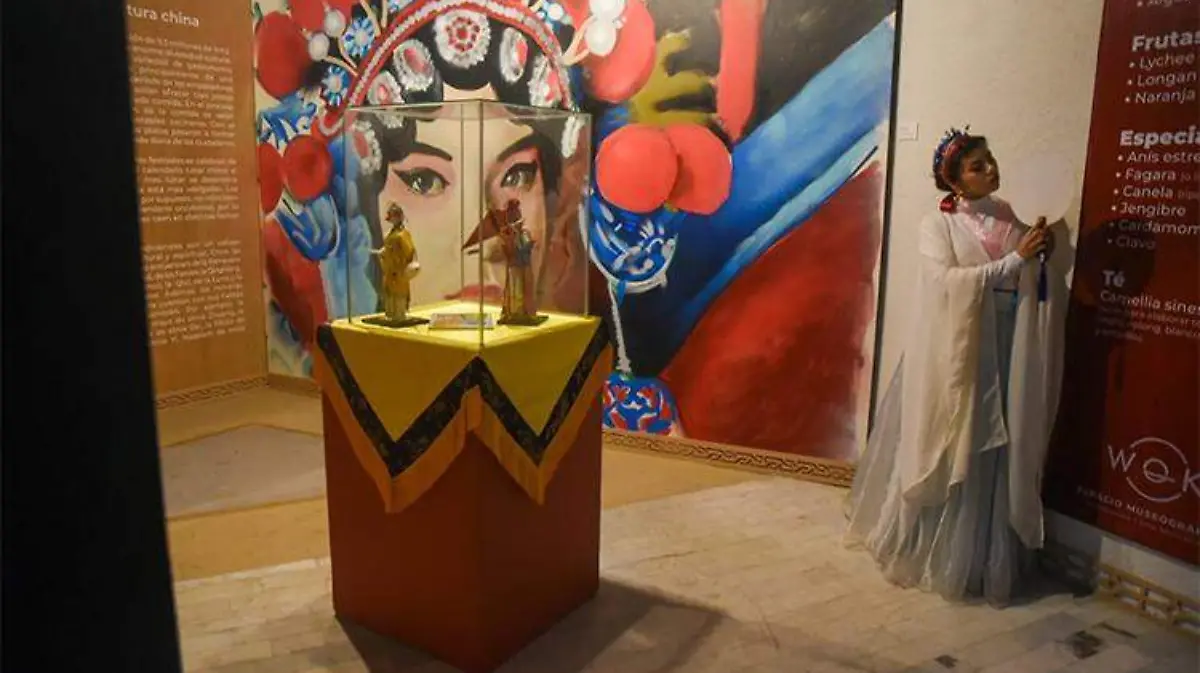 Museo Wok Reapertura