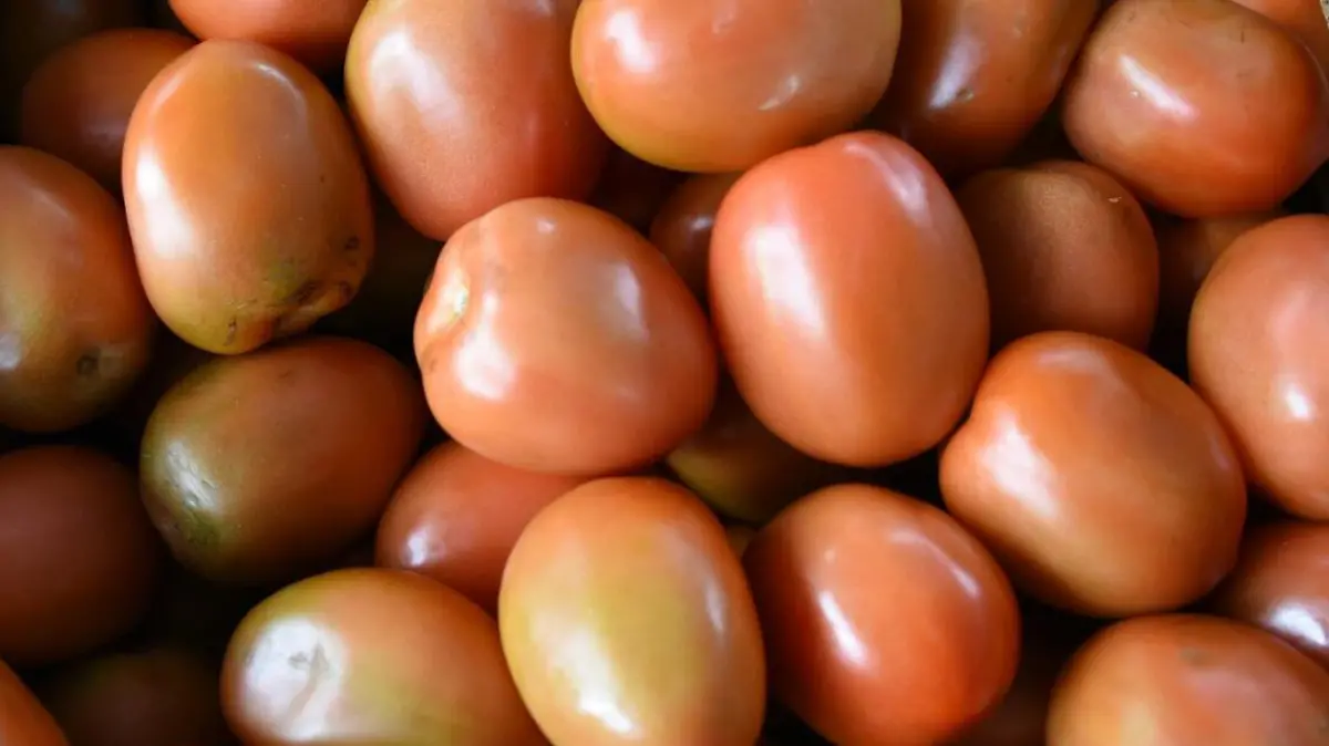 WhatsApp Image 2017-02-18 at 2.33