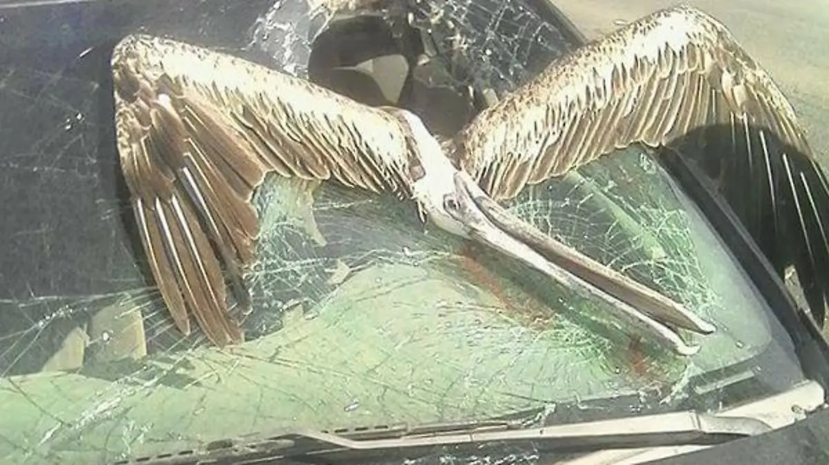 WhatsApp Image 2017-07-07 at 3.09