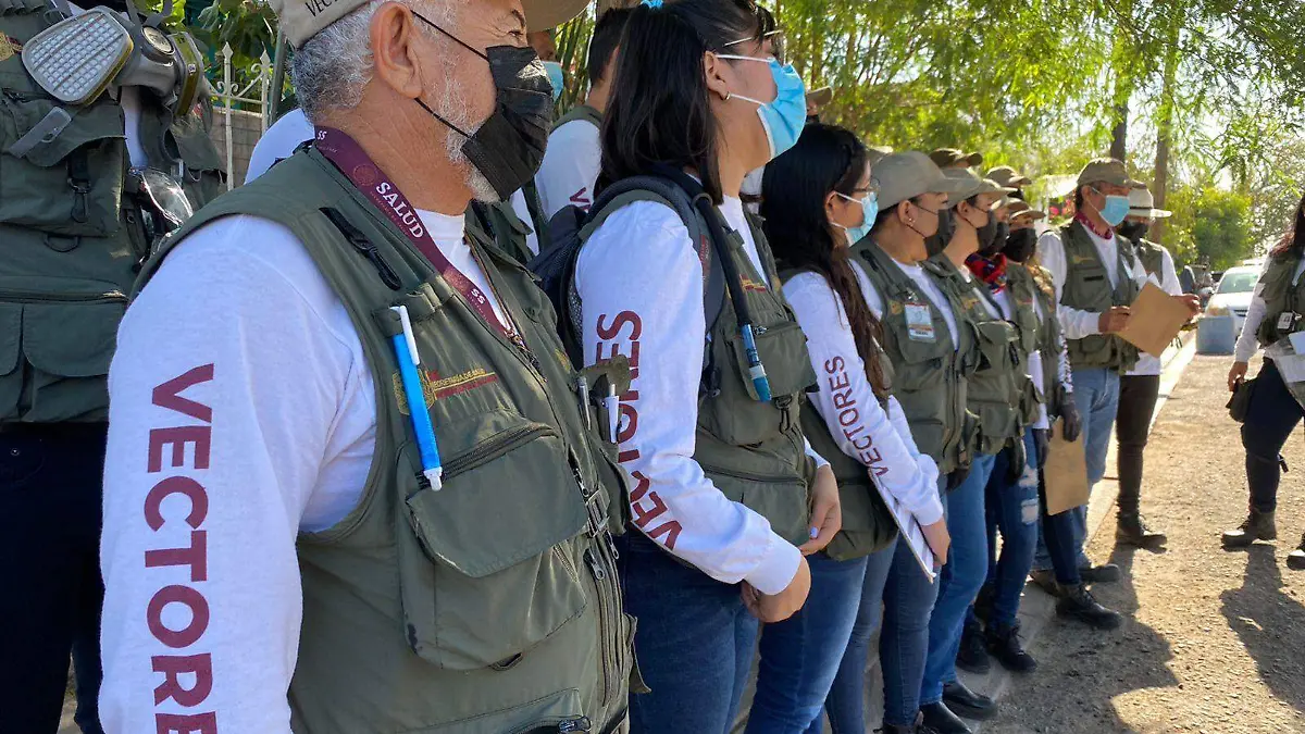 Inicia brigada contra moscos que transmiten enfermedades 