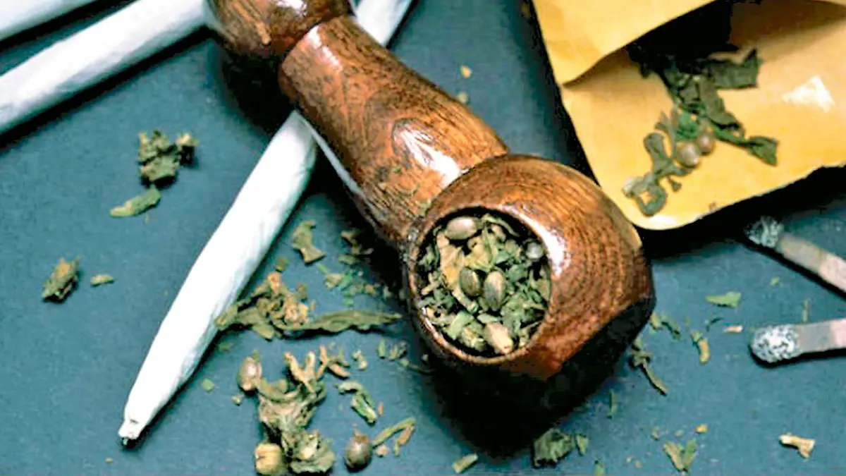 pipas