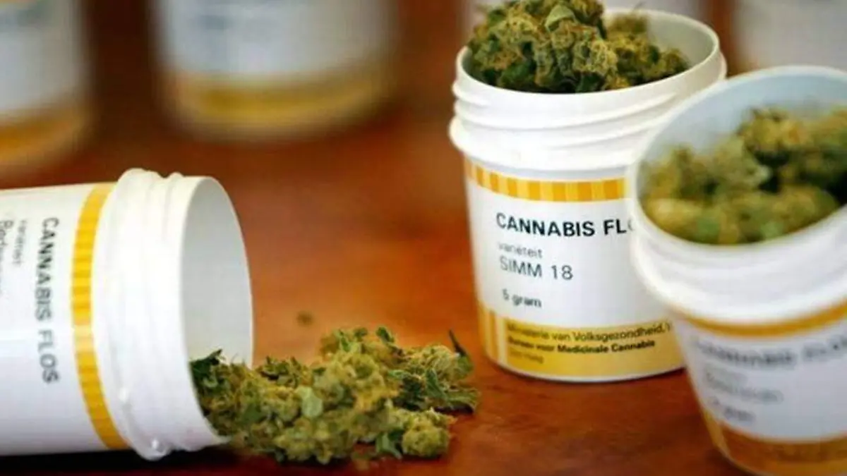 Cannabis