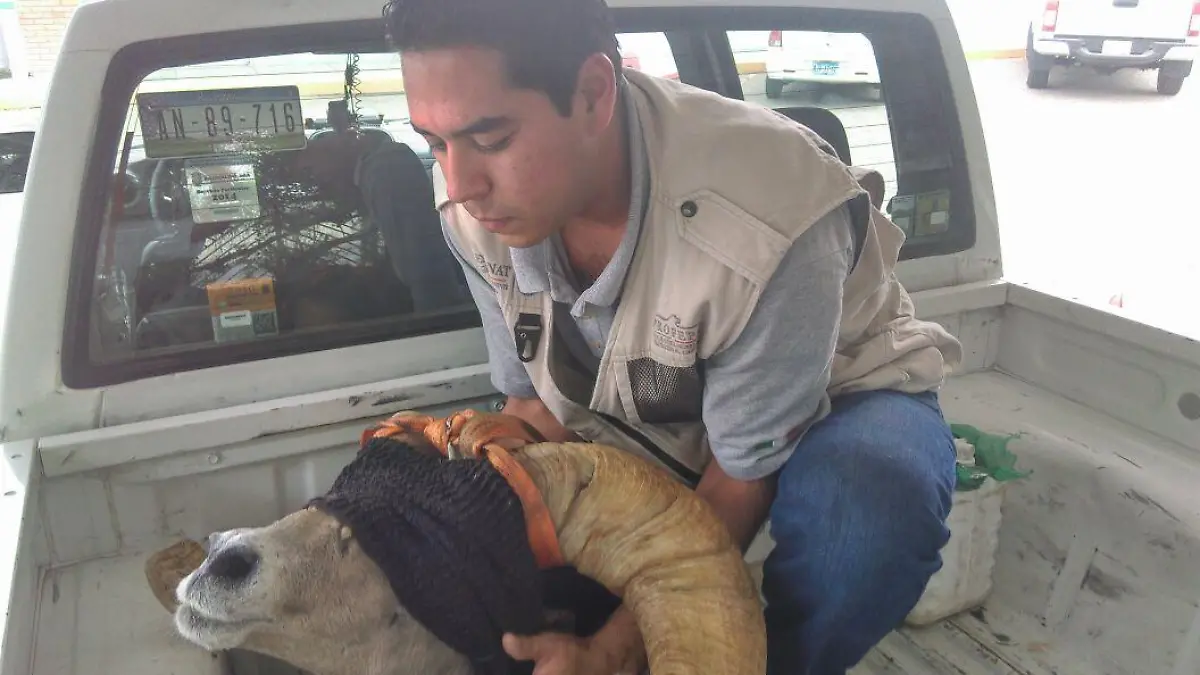 WhatsApp Image 2017-07-08 at 7.12