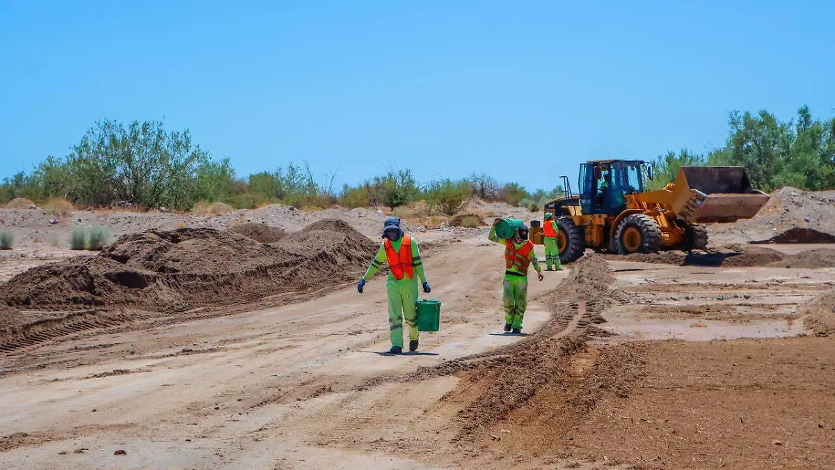 Carretera a San Felipe en buenas condiciones