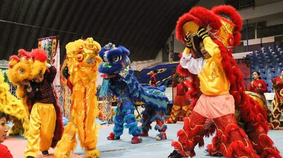 WhatsApp Image 2018-12-04 at 15.02.28