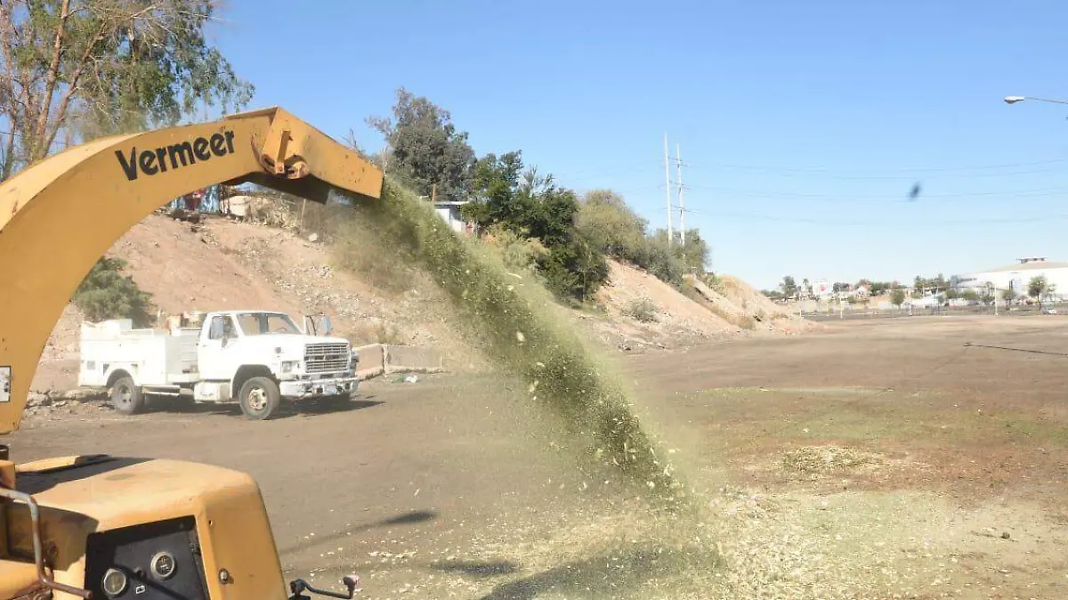 Piden no depositar árboles navideños en la calle 2