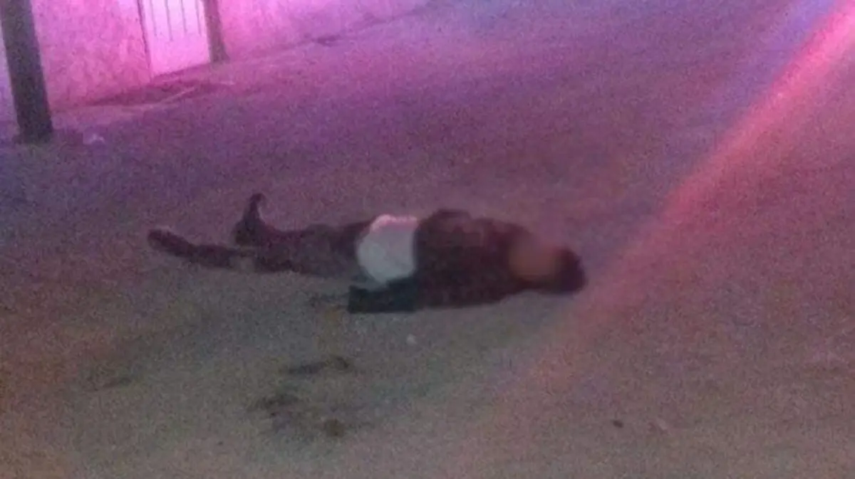 b16d8112-254d-4cf4-a5a8-d591e8205e91