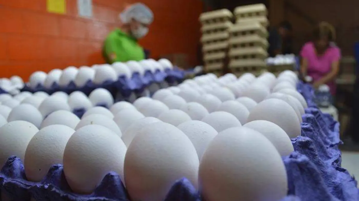 WhatsApp Image 2018-04-10 at 4.00.07 PM