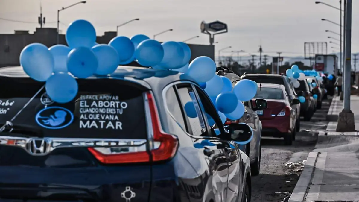 24443ca4-0c01-4ccd-a457-9907978a5624