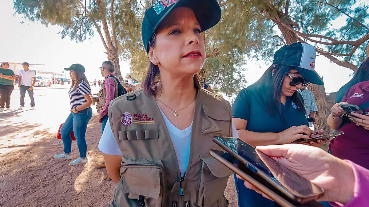 91671cce-a2a9-4d2e-80ac-9ec587a9f1d6