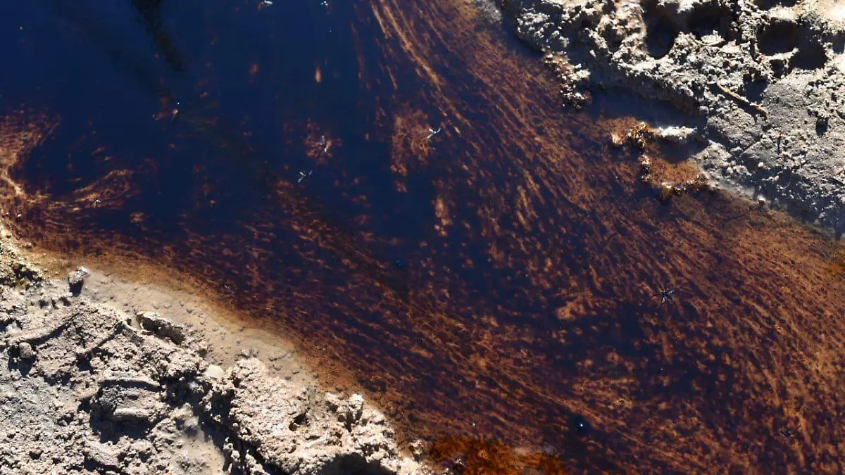 Vierten aceite en drenaje sanitario