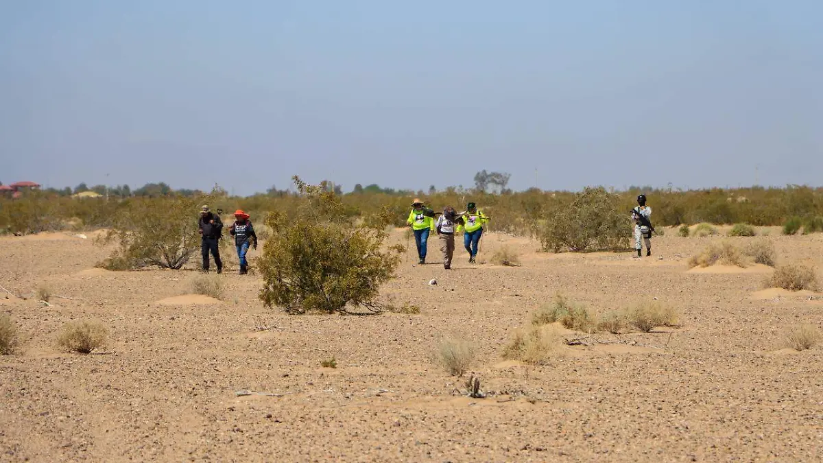 WhatsApp Image 2023-04-17 at 12.46.02 PM (1)