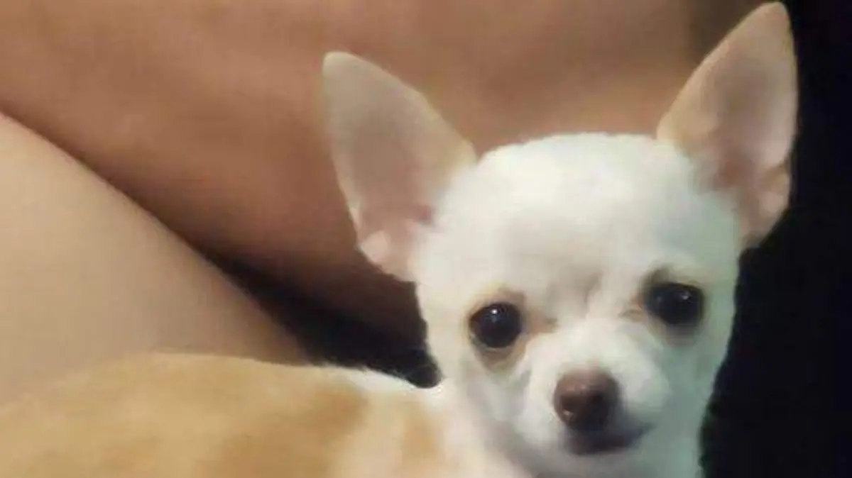 WhatsApp Image 2023-07-02 at 10.07.58 AM