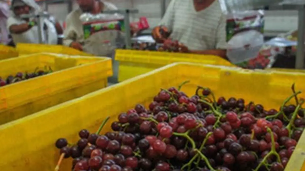 WhatsApp Image 2017-08-06 at 2.52