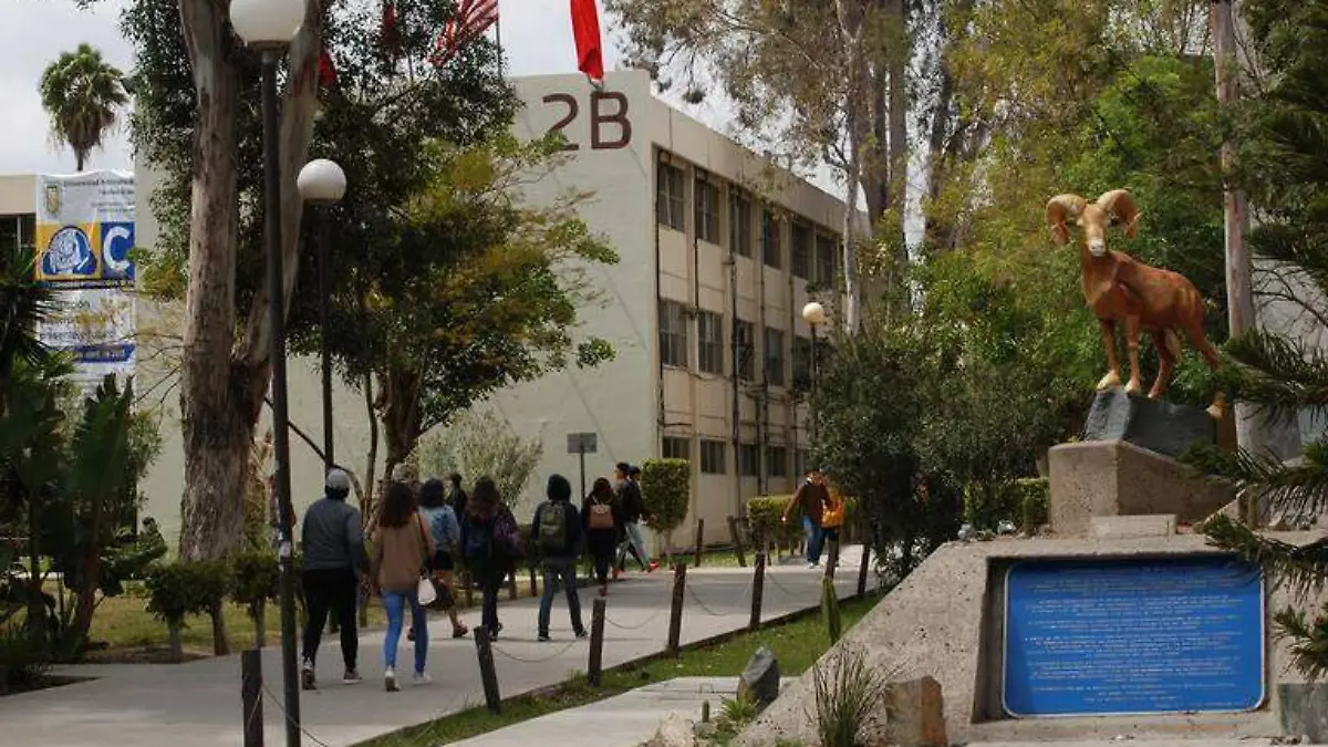 UABC