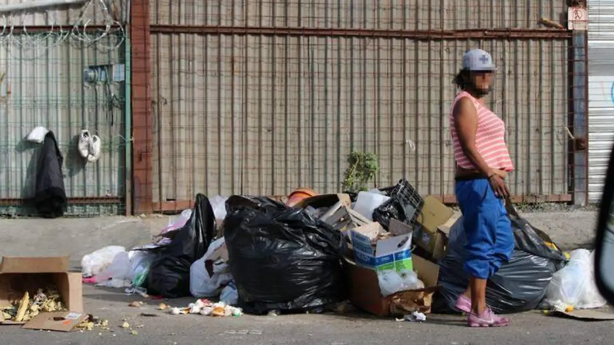 Persona, calle, bolsas de basura
