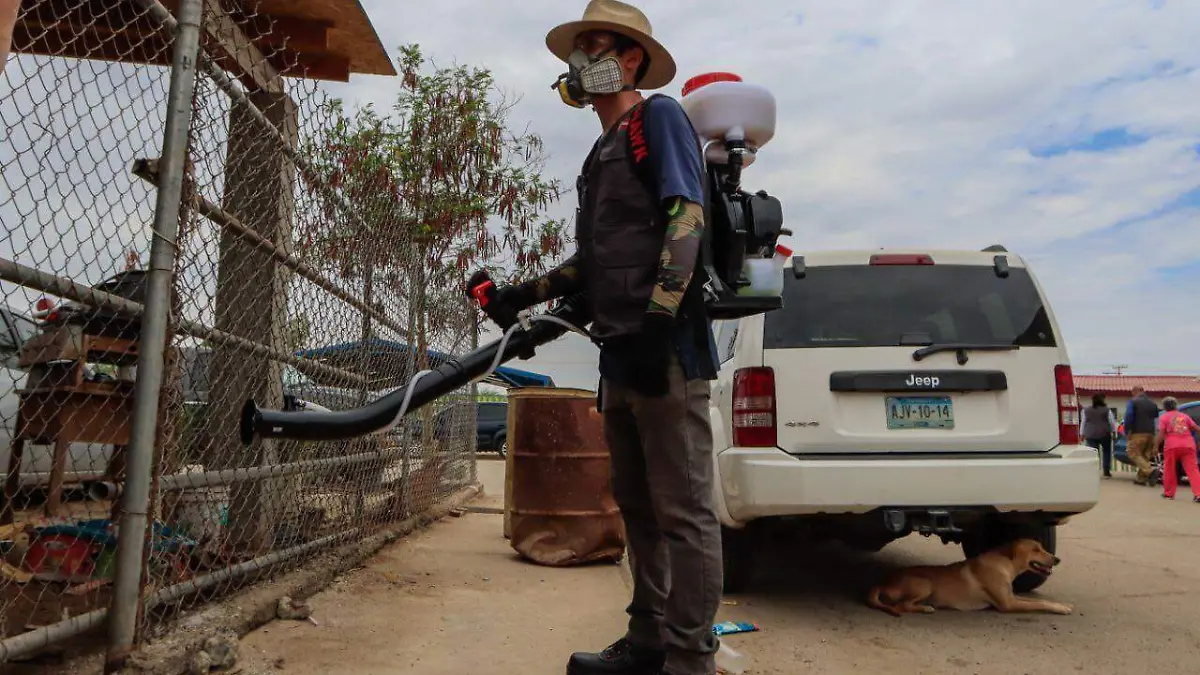 WhatsApp Image 2022-07-29 at 12.49.43 PM