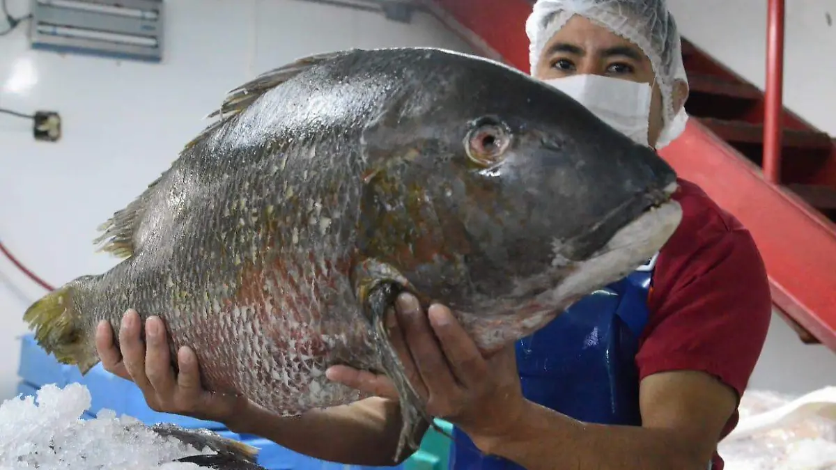 5a1c455c-901c-4dd5-9bc3-fcb18c61bd49