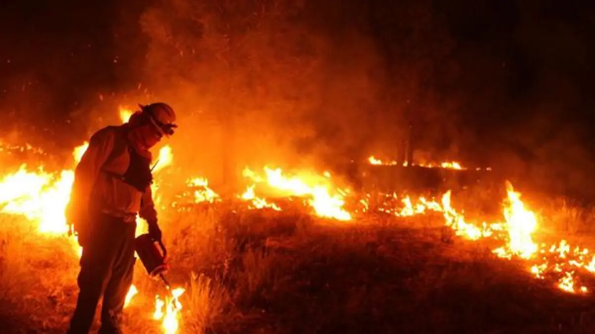 WhatsApp Image 2017-11-14 at 3.06