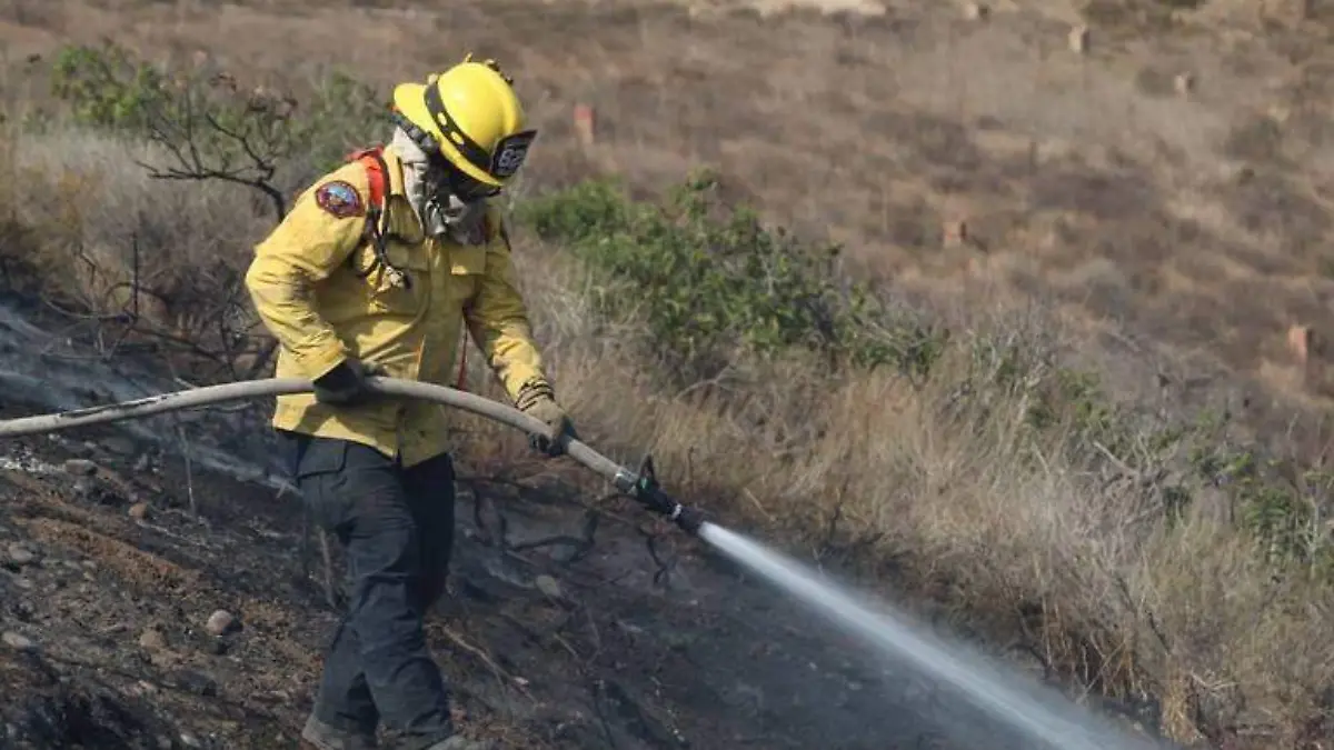 Bomberos Tijuana