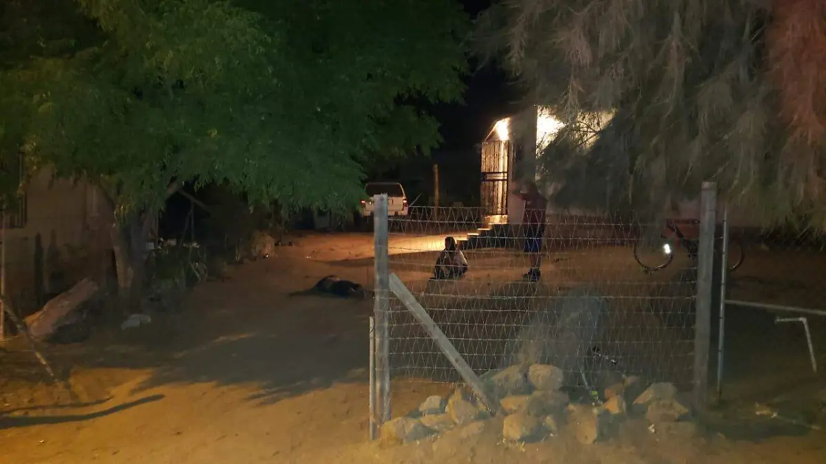 WhatsApp Image 2020-08-02 at 13.13.37