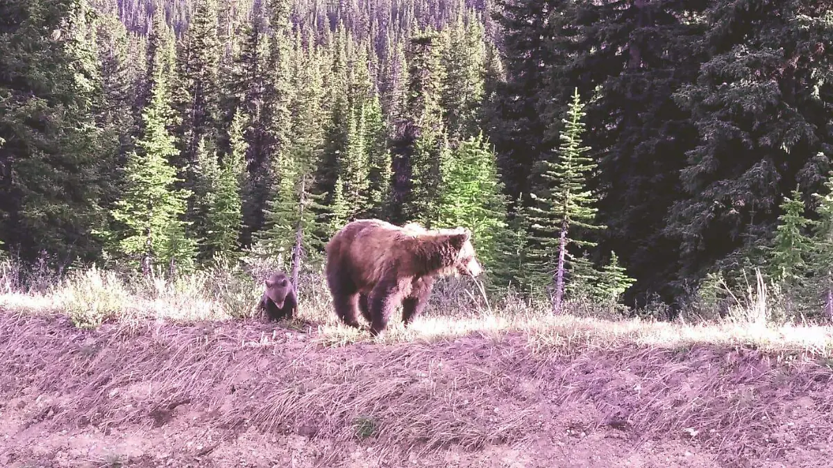 e2e681e0-f807-418e-9459-5ab65eea06b7