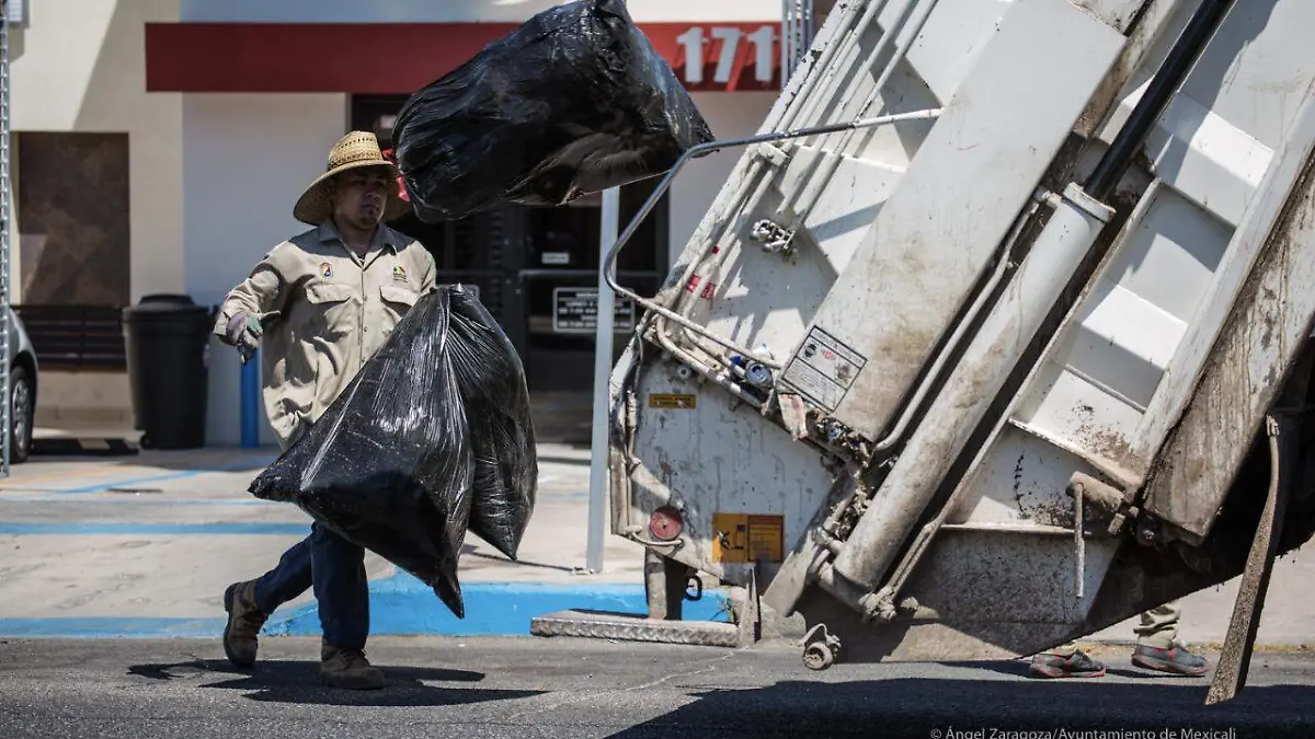 WhatsApp Image 2019-12-29 at 12.46.07