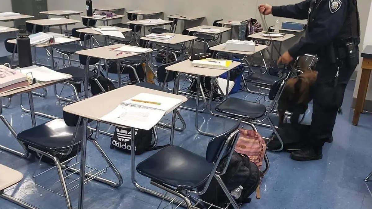 91ea4e70-2590-4a68-9f30-d9546d3dcd1d