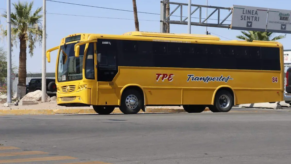 WhatsApp Image 2022-07-05 at 10.39.48 AM