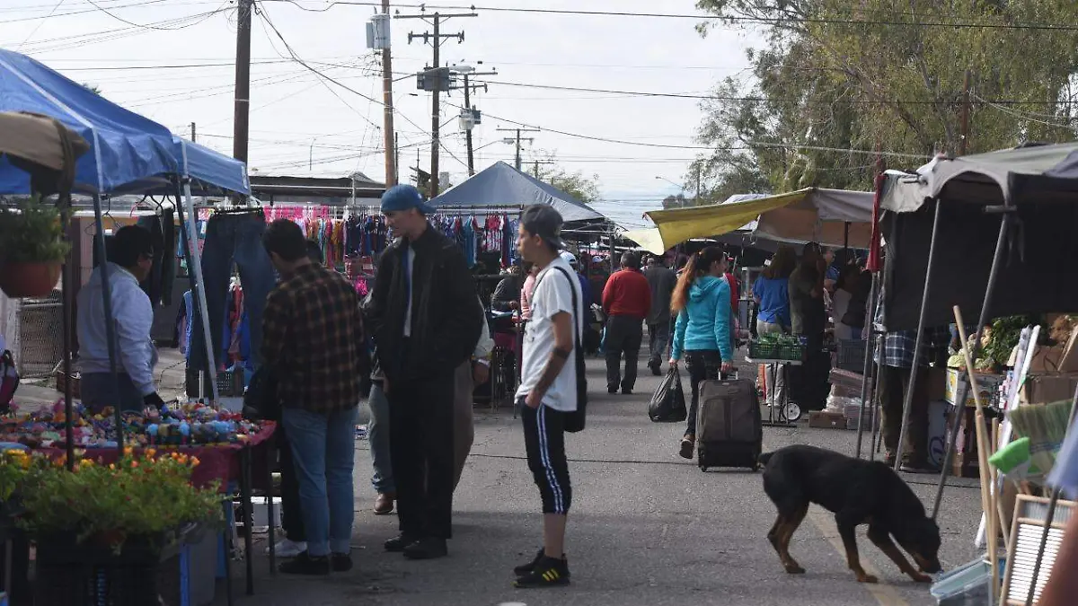 WhatsApp Image 2020-03-24 at 11.52.45 AM