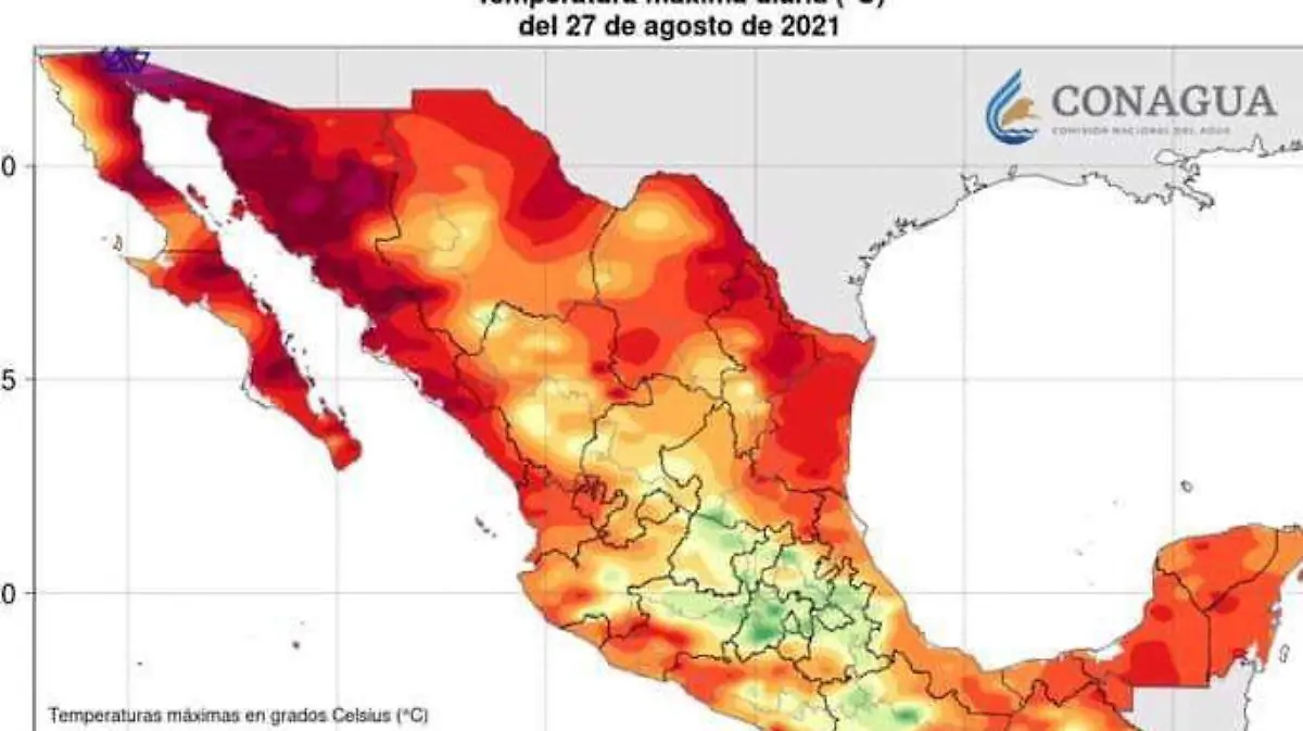 WhatsApp Image 2021-08-28 at 19.57.49