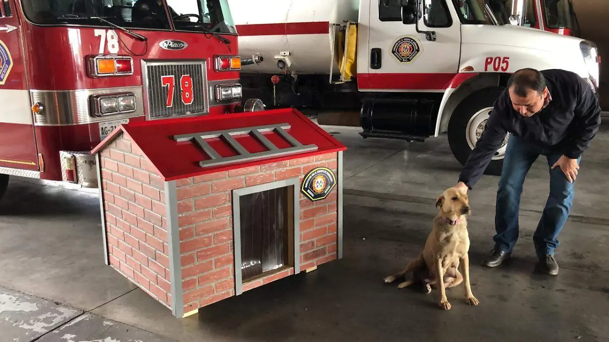 b5742f59-9e35-482c-995e-1f5e58f7dde2