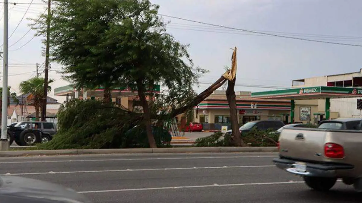 b3fdbf1e-c341-4a14-96a9-4896e88acf4a