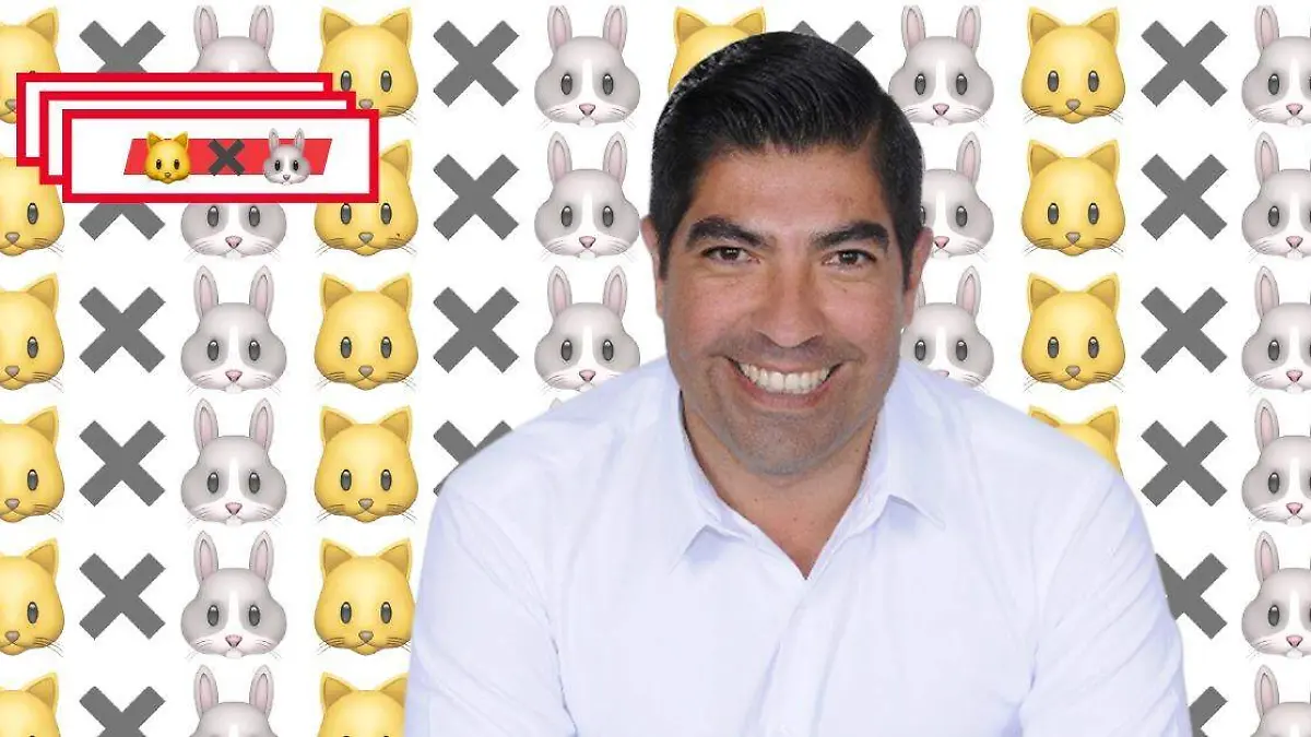 a4fd48c1-9b2e-4ee8-9b53-cd32ff15cbd7