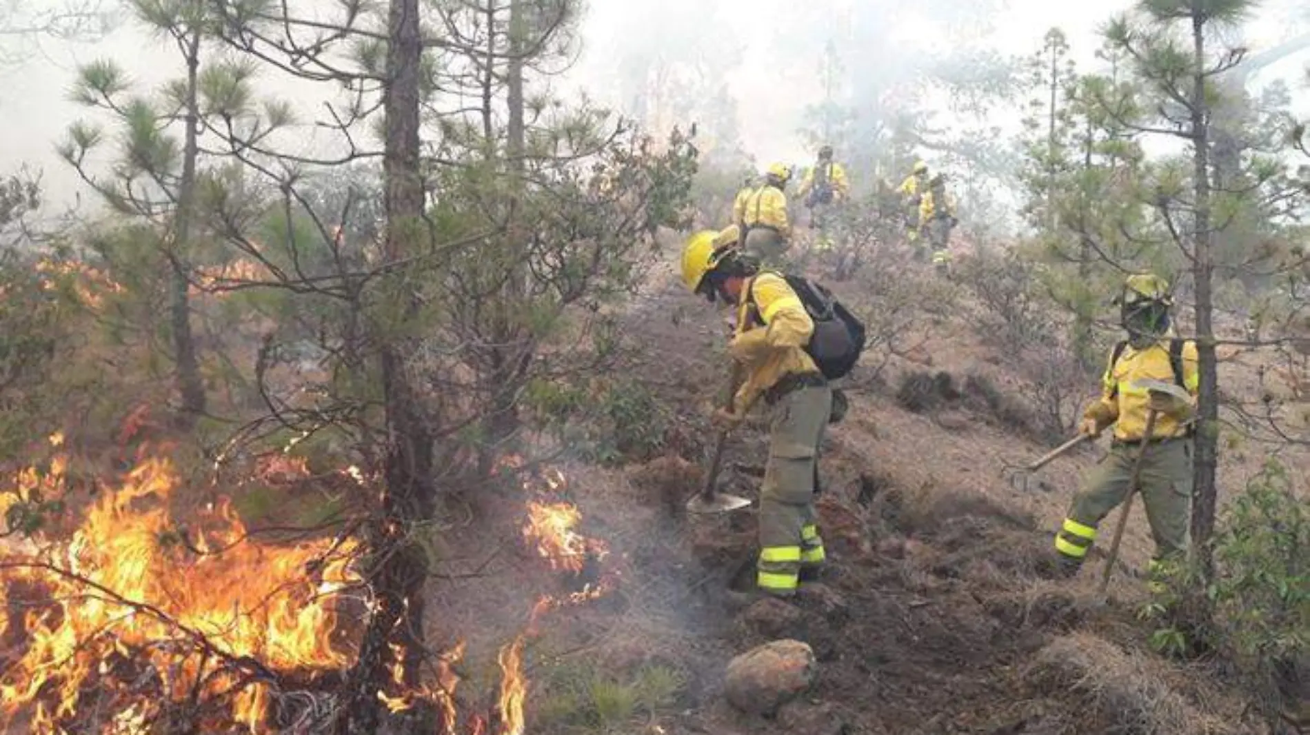 Granadilla-Brifor-Cabildo-Trabajos-incendio-00