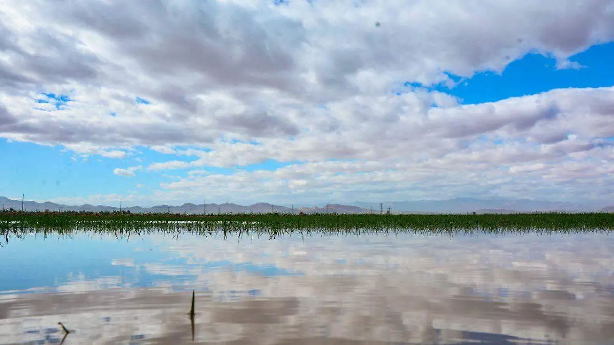 WhatsApp Image 2018-02-12 at 12.17.52