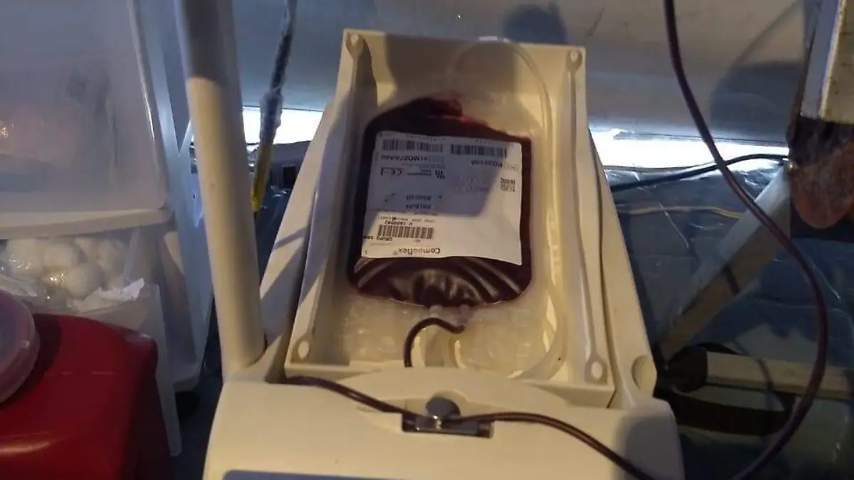 donación de sangre