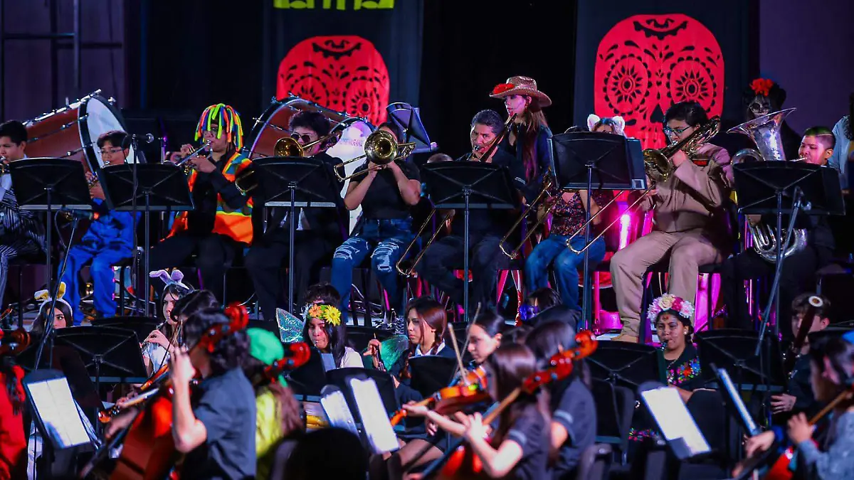 Image 2023-11-03 at 6.54.29 PM