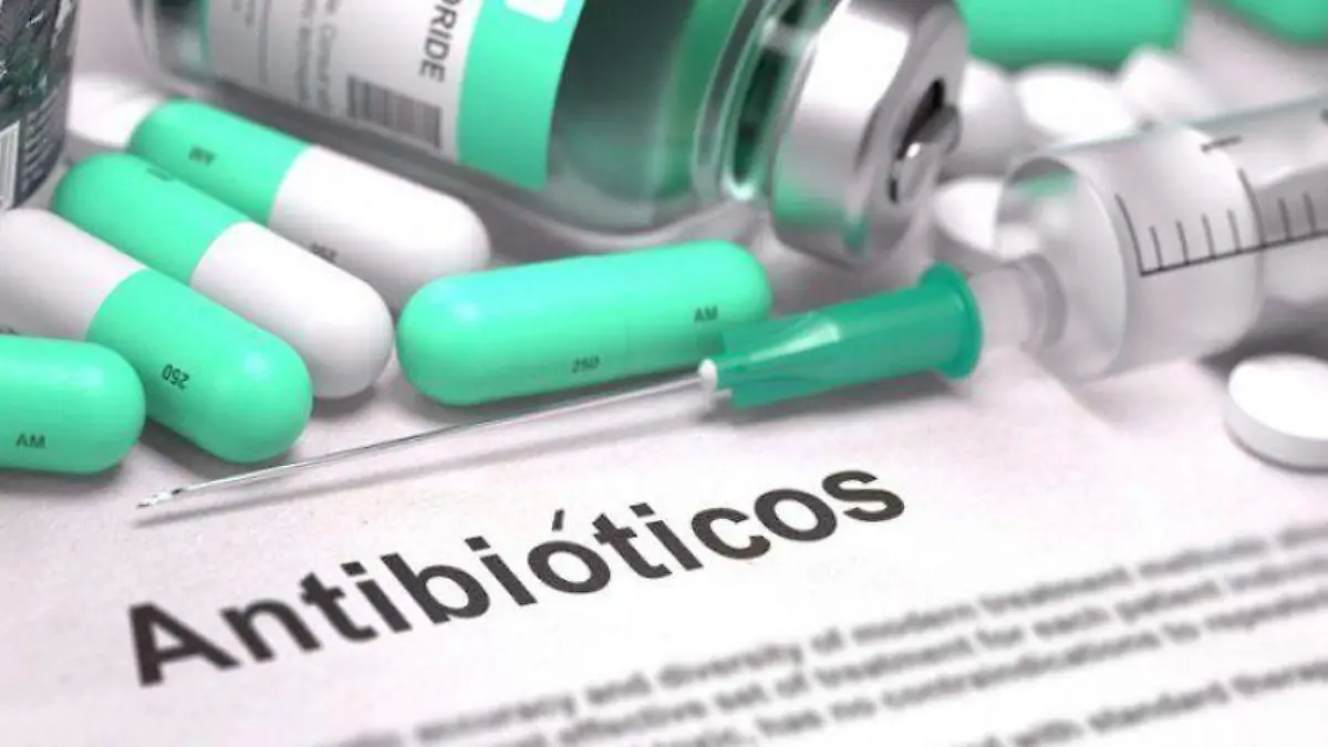 e505a48397b0e32e1a6054f3deaa1b41_XL