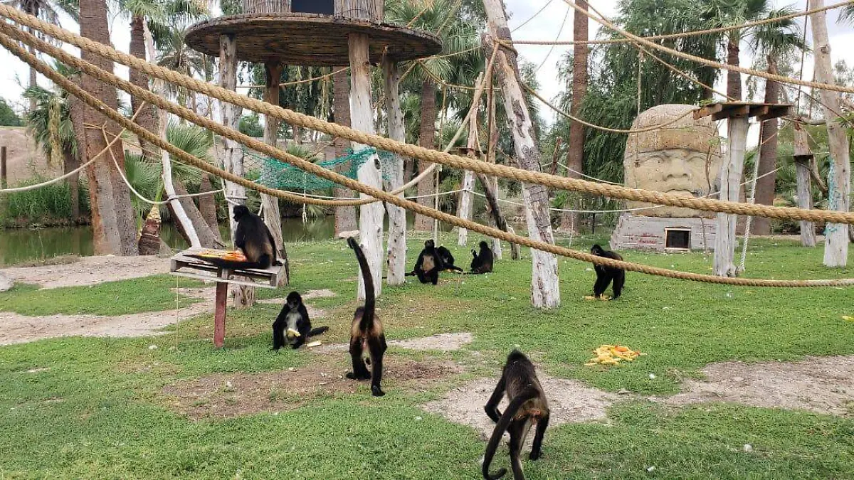 WhatsApp Image 2019-09-06 at 10.30.31 AM