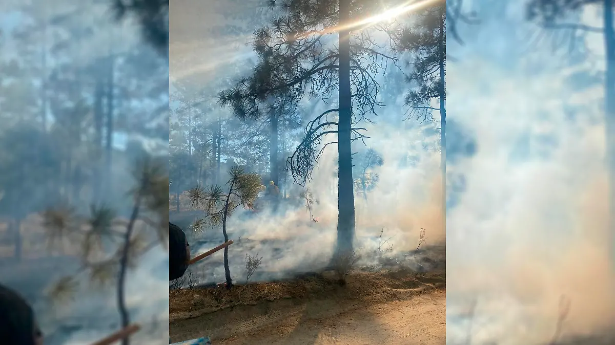 Incendio en la Sierra