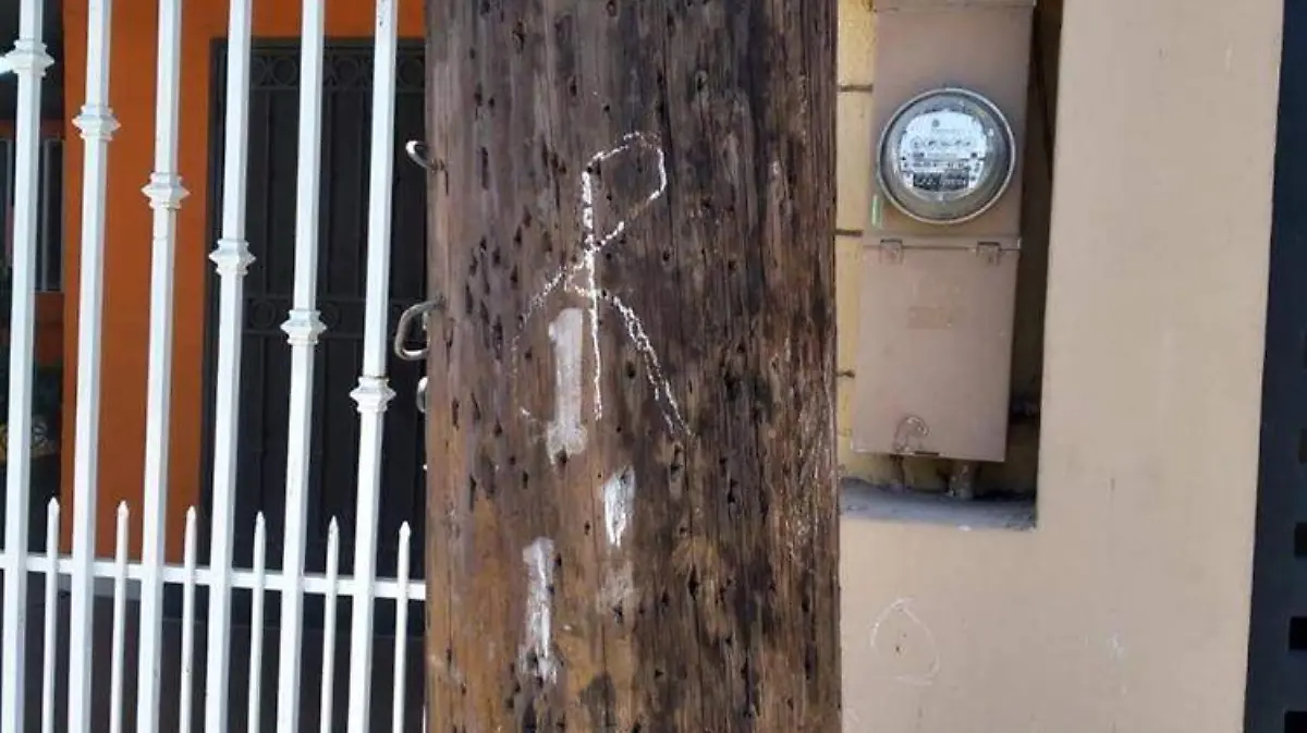 WhatsApp Image 2022-06-13 at 12.22.51 PM