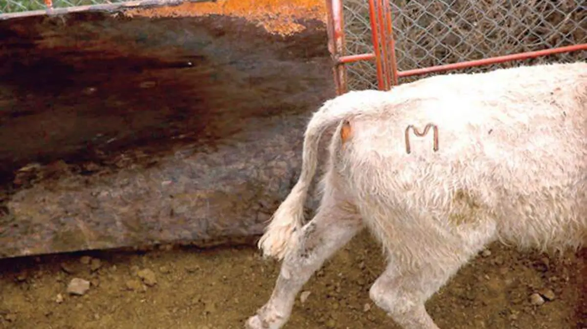 USDA