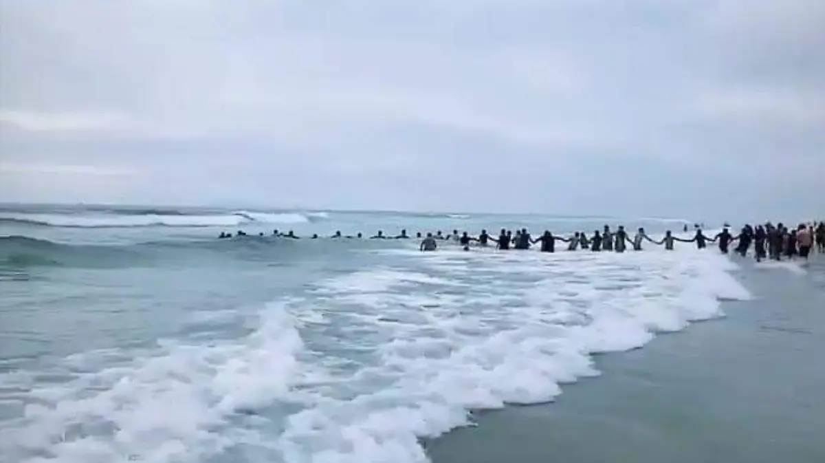 Rosarito 