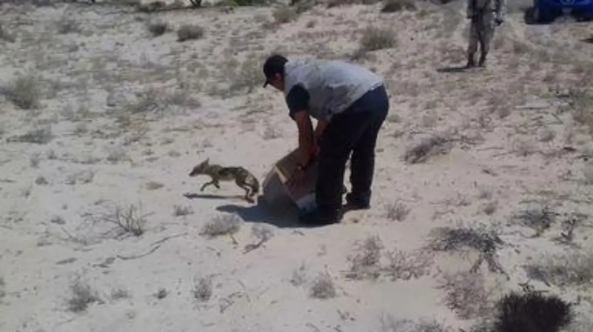 WhatsApp Image 2017-07-22 at 11.38