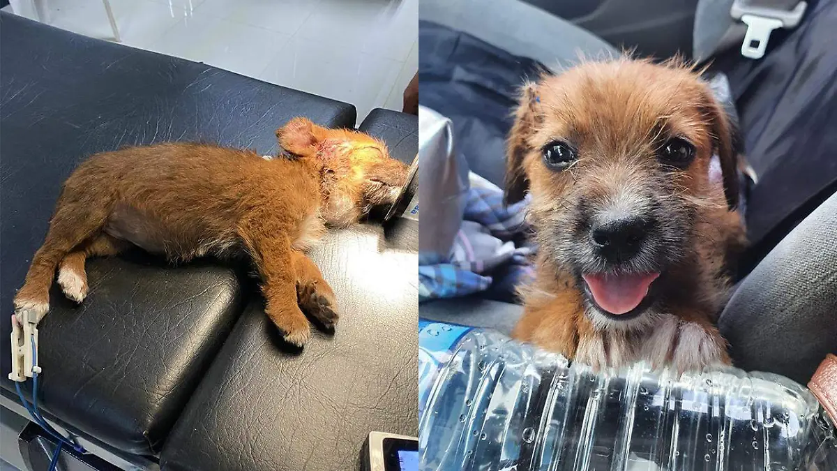 mia antes y ahora
