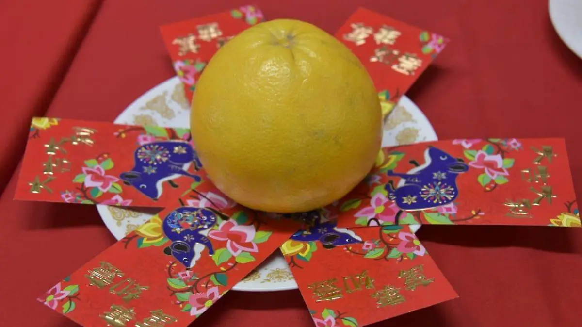 6e51ab4c-e254-4a96-a377-f697ded91c65