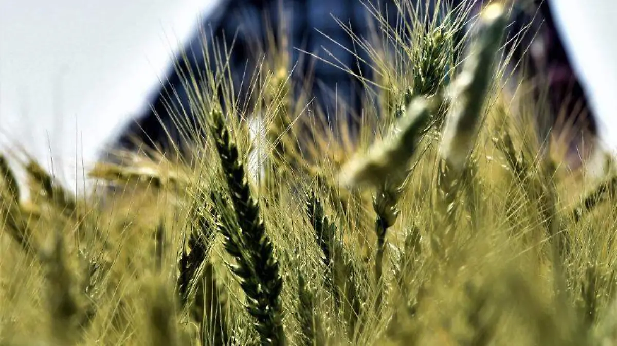 79cebd7d-5f0e-42d2-9f1e-0791f7c8ea64