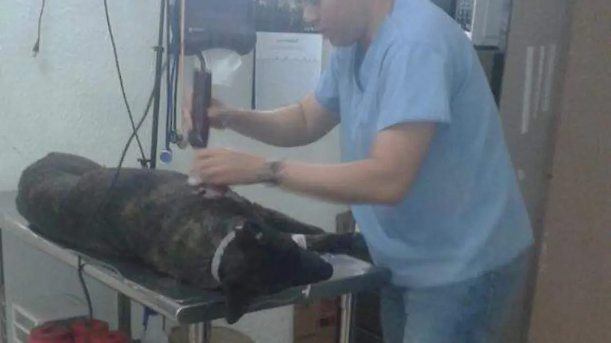 78d220b5-7913-473a-bed0-d56cb056de77