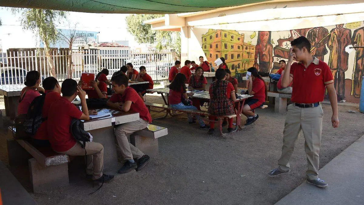 9559955b-ab71-4a98-82c8-7f933e61091d